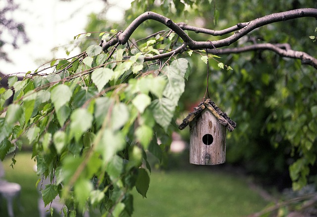 Maximize Small Spaces: Vertical Gardening Ideas for Efficient Backyard Design