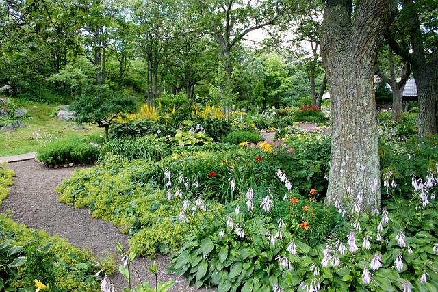 landscaping-backyard-garden-640x480-33326194.jpeg