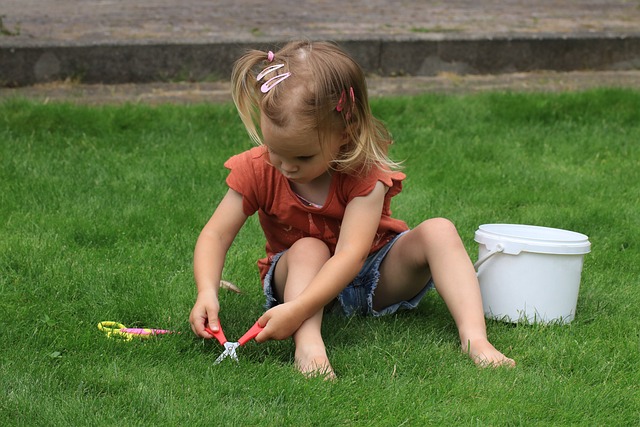 Thrifty Backyard Makeover: DIY Projects & Low-Cost Landscaping Ideas