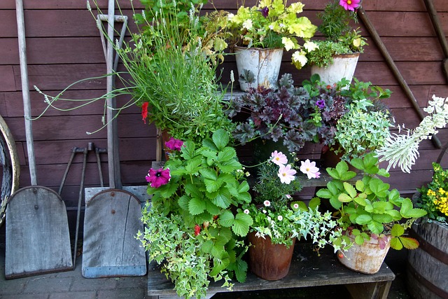 Seasonal Backyard Magic: Decor Ideas for All Four Elements