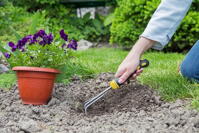 Eco-Friendly Seasonal Decor Ideas for Your Backyard Transformation