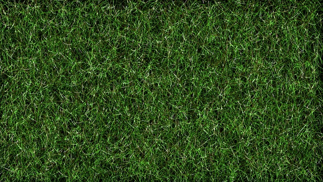 Affordable Lawn Care: Top Maintenance Solutions for Every Budget