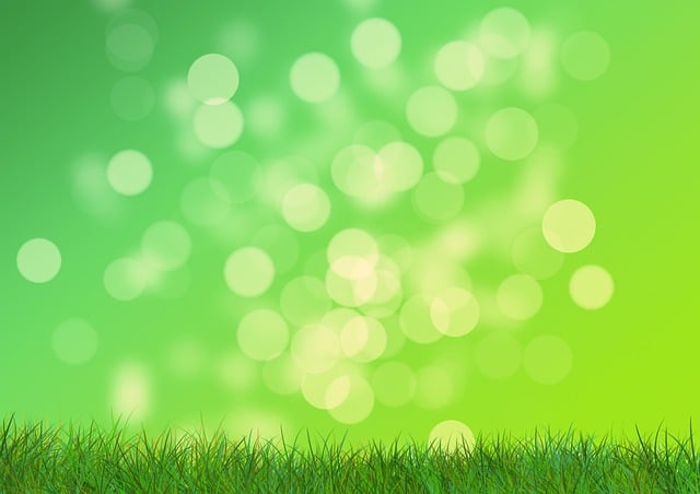 lawn-640x480-39997713.jpeg