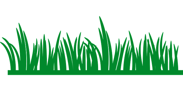 lawn