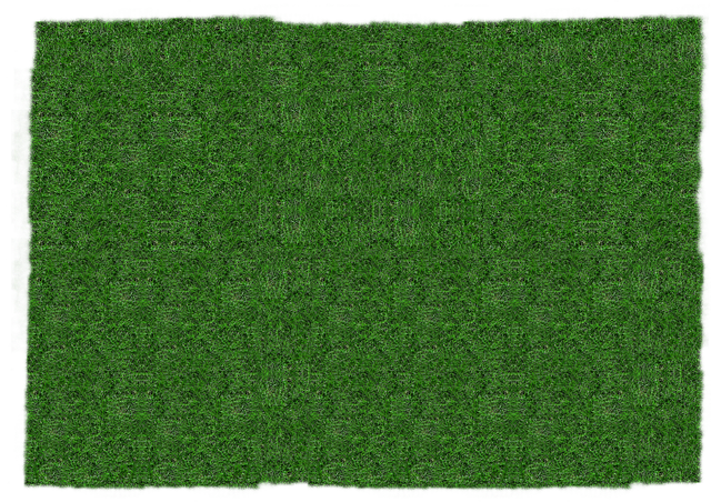 lawn