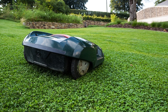 lawn-640x480-57043610.jpeg