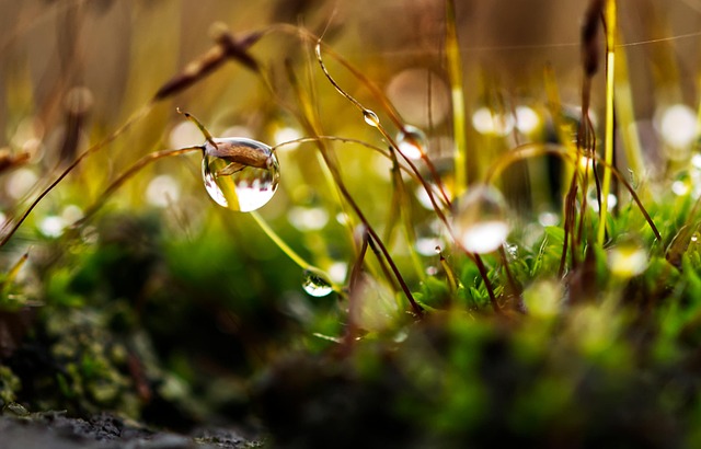 Optimize Lawn Care and Landscaping with Efficient Irrigation System Installation