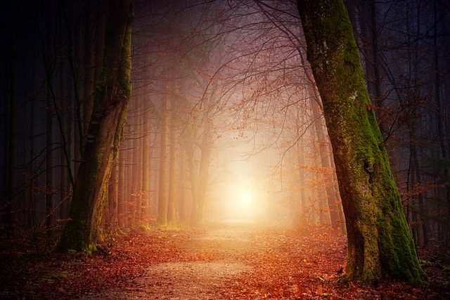 lighting-640x480-95873729.jpeg