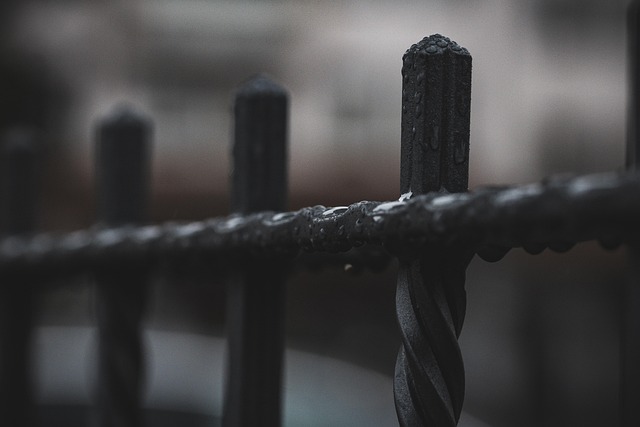metal-door-metal-gate-640x480-64089855.jpeg