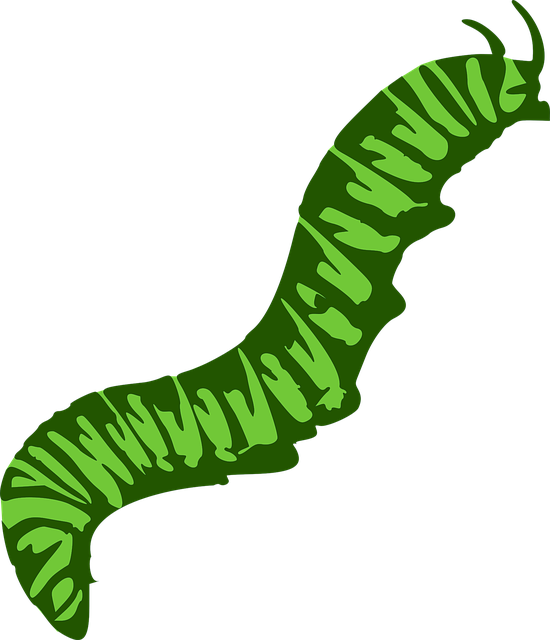 milipede-640x480-64363779.png