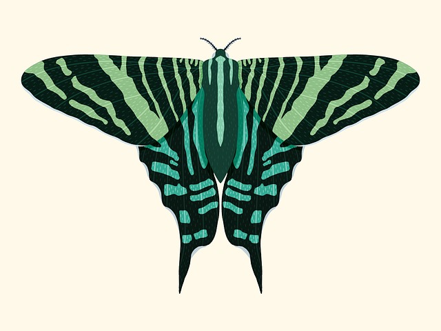 Expert Clothes Moth Removal: Guaranteed Results with Tailored Solutions