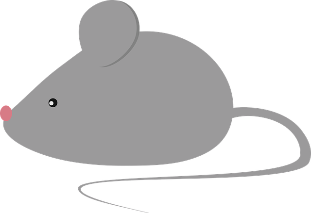 Eco-Friendly & Customized Mouse Prevention: Expert Tips for Long-Term Safety