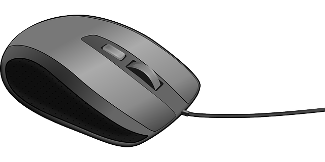 mouse-640x480-73229700.png