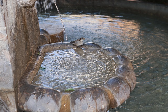 outdoor fountain, water feature