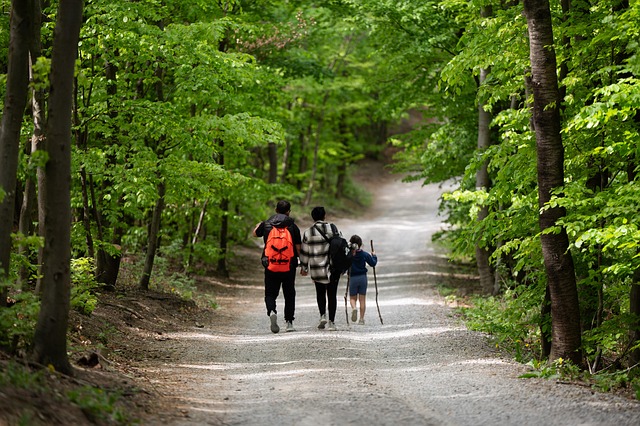 Guiding You Through Paternity Acknowledgment, Disputes, and Testing