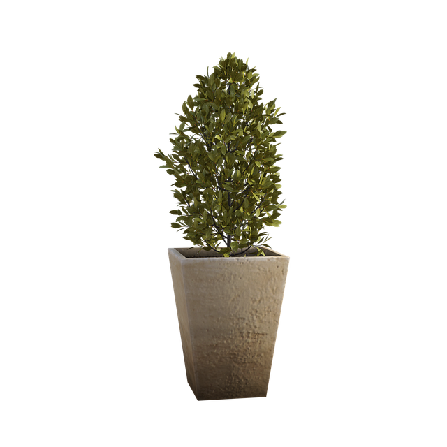 patio-640x480-18304185.png