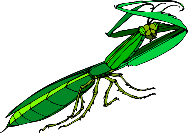 pest-640x480-54908965.png
