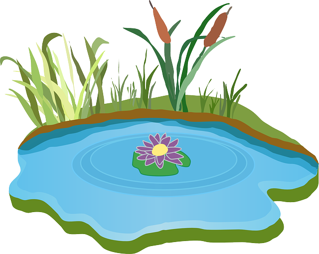 pond, outdoor pond, outdoor waterfall