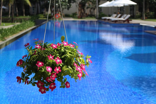 pool deck, pool surround, pool, swimming pool