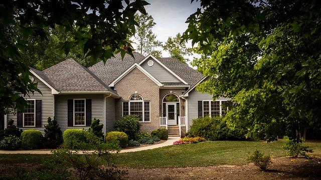 property, asset