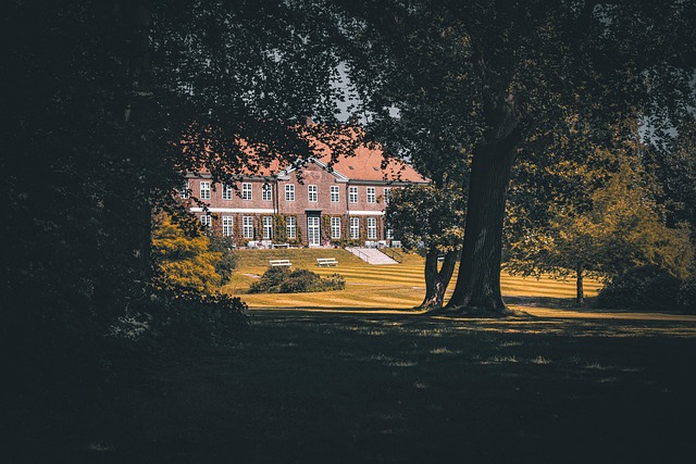 property, asset