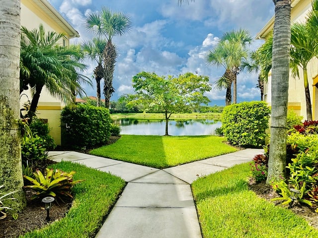 property, asset