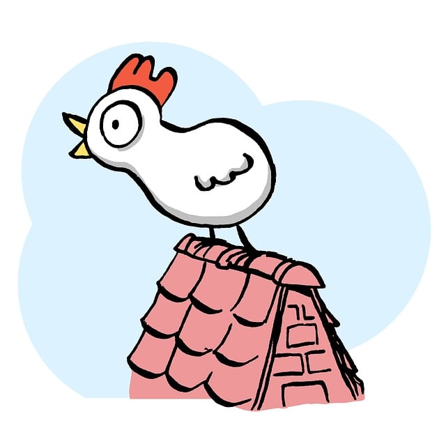 roof-640x480-13892889.jpeg