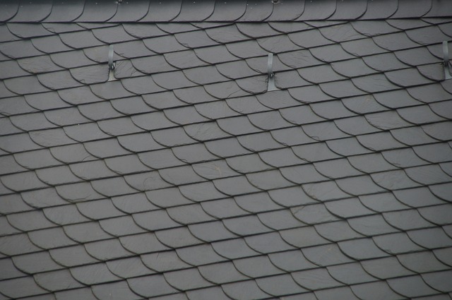 roof-640x480-19664922.jpeg