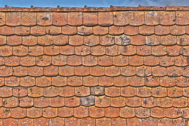 roof-640x480-26730490.jpeg