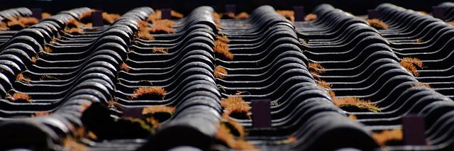 Expert Gutter Repair Services: Restoring Functionality and Preventing Damage