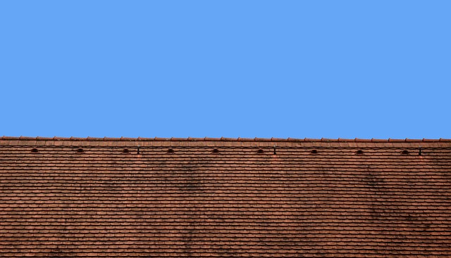 roof-640x480-34461185.jpeg