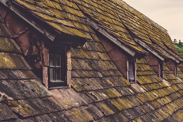 Weatherproof Your Roofs: Strategies for Harsh Climate Resilience