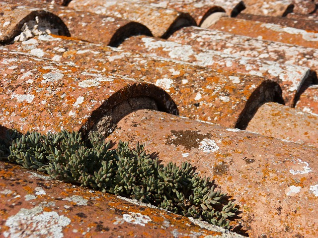 roof-640x480-5709452.jpeg