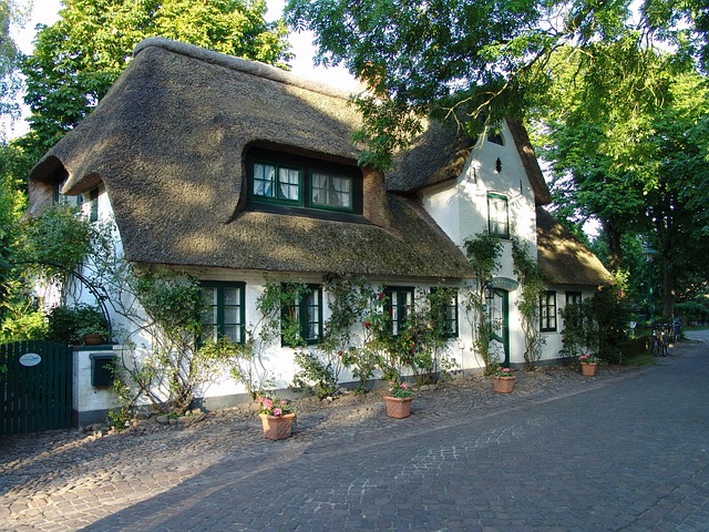 roof-640x480-58656557.jpeg