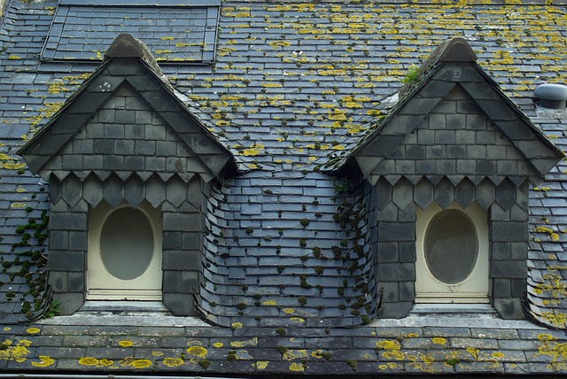 roof-640x480-77012362.jpeg