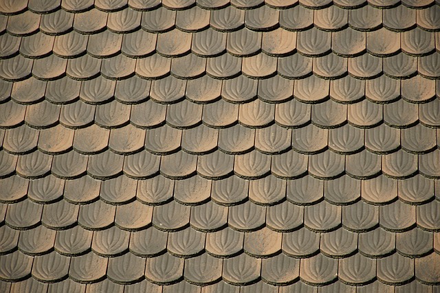 roof-house-roof-roofing-640x480-28581156.jpeg