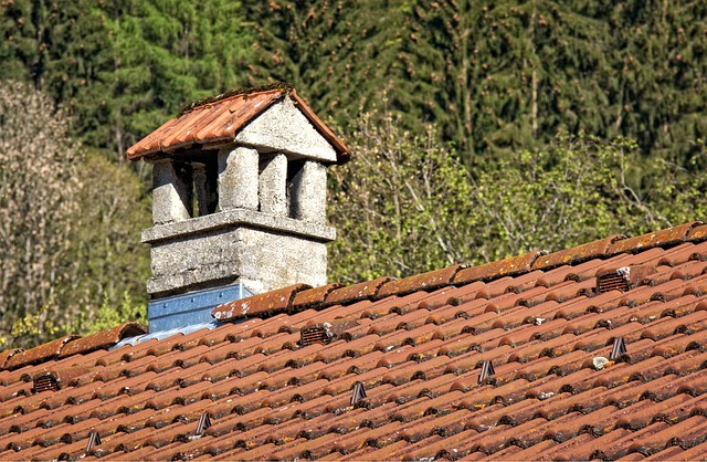 roof-roofing-shingle-roof-cedar-shake-640x480-19924660.jpeg