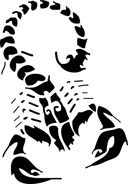 scorpion-640x480-33129446.png