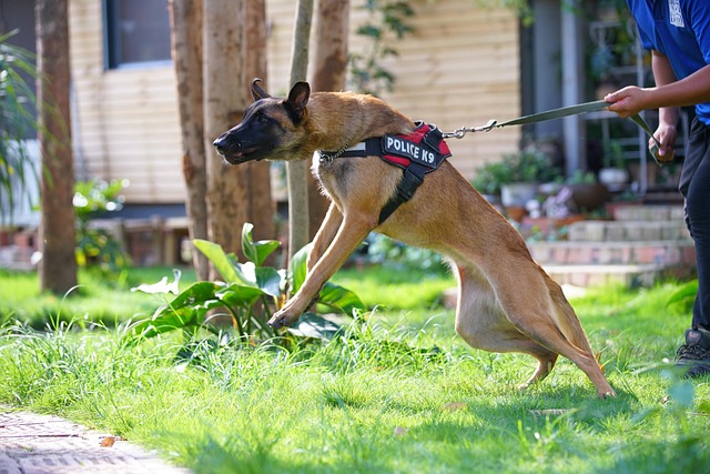 security-guard-640x480-42778249.jpeg