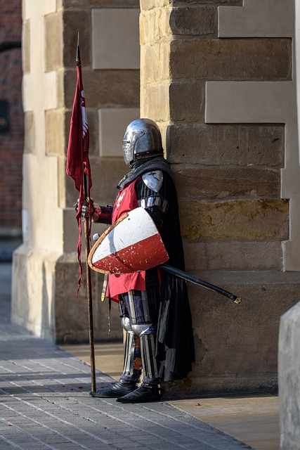 Securing Peace of Mind: Elite Protection for Corporate Leaders