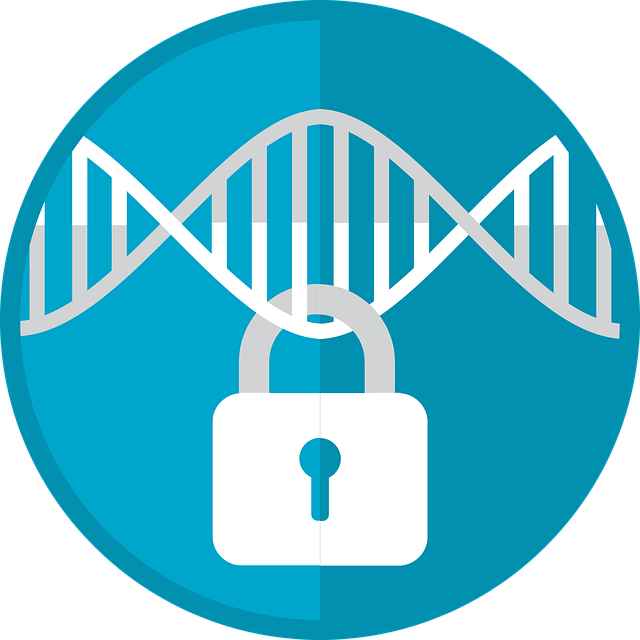security-surveillance-home-security-phys-640x480-14268137.png