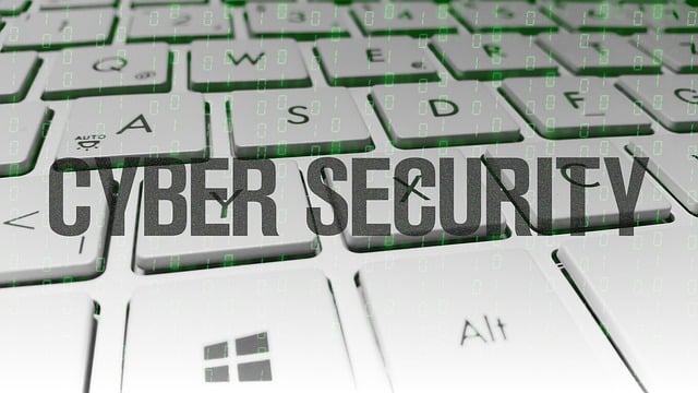 Empowering Neighborhoods: Custom Programs for Enhanced Local Security