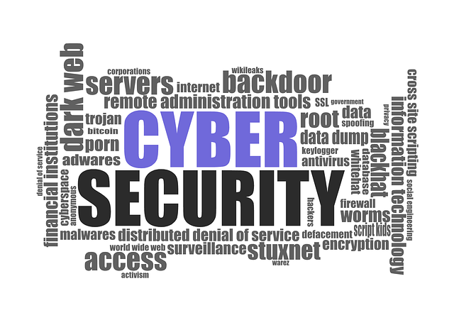 security, surveillance, home security, physical security
