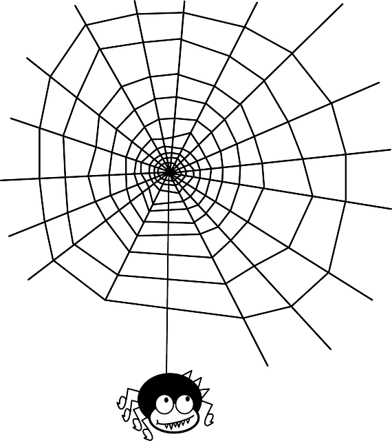 Professional Spider Control: Effective Prevention & Safety Measures