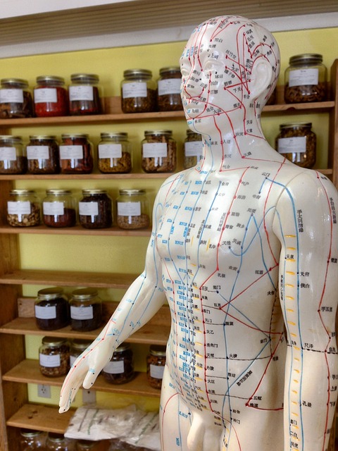 treatment, body treatment, dermatology