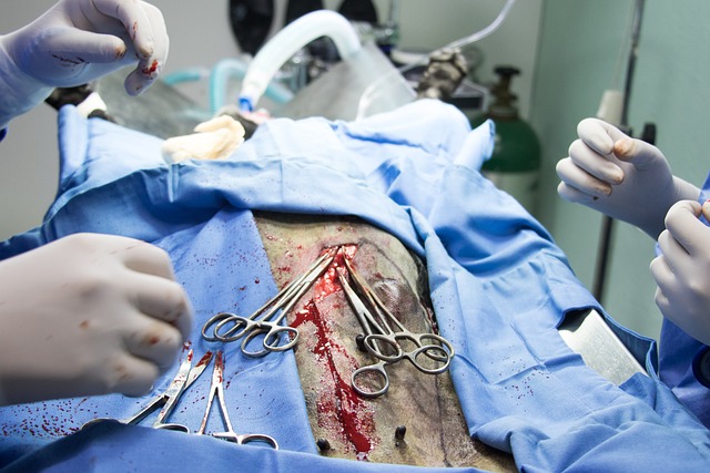 treatment, medicine, hospital, patience, surgery, surgeon, therapy