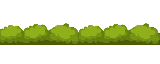 tree, shrub