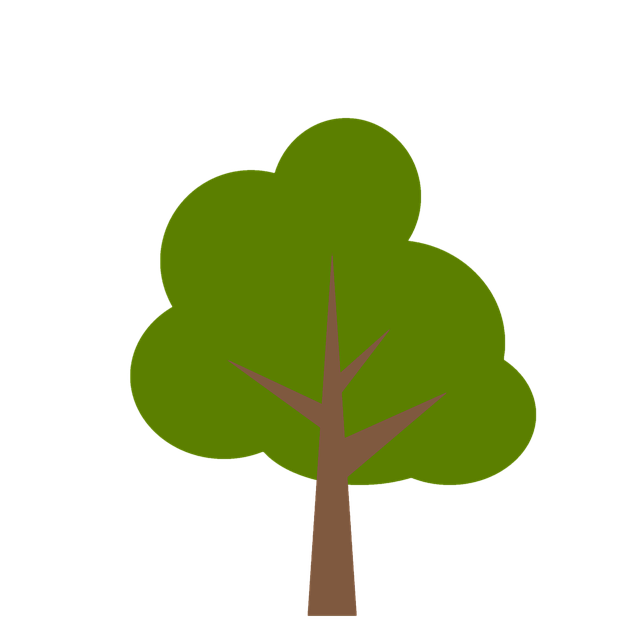 tree, shrub