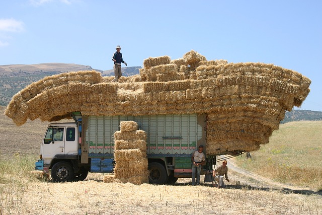 truck-trucking-truck-driver-640x480-11366450.jpeg