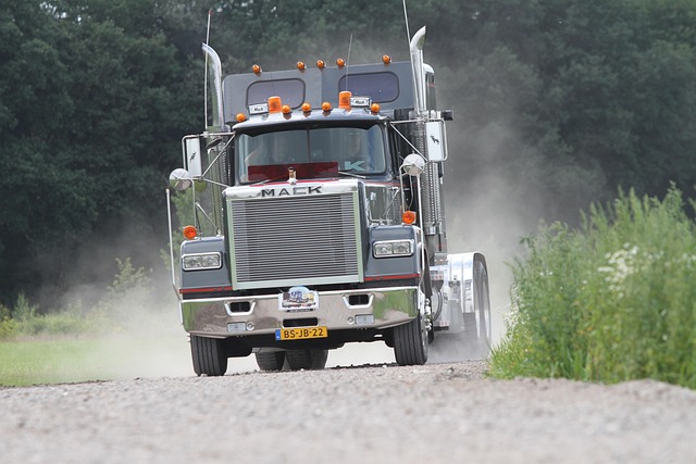 truck, trucking, truck driver